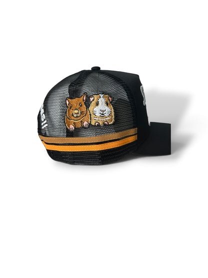 STB CAP